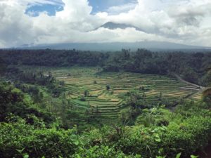 Bukit Jambul Karangasem 4 1024x767