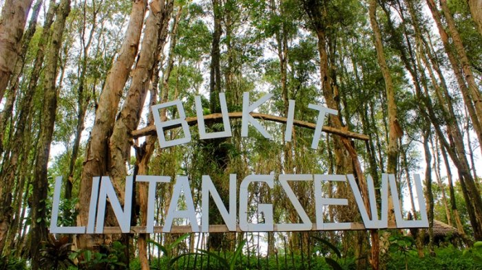 Bukit Lintang