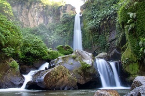 coban talun